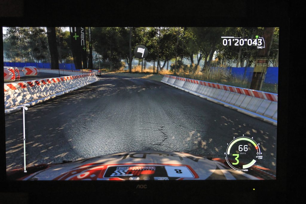 WRC 6 (3)